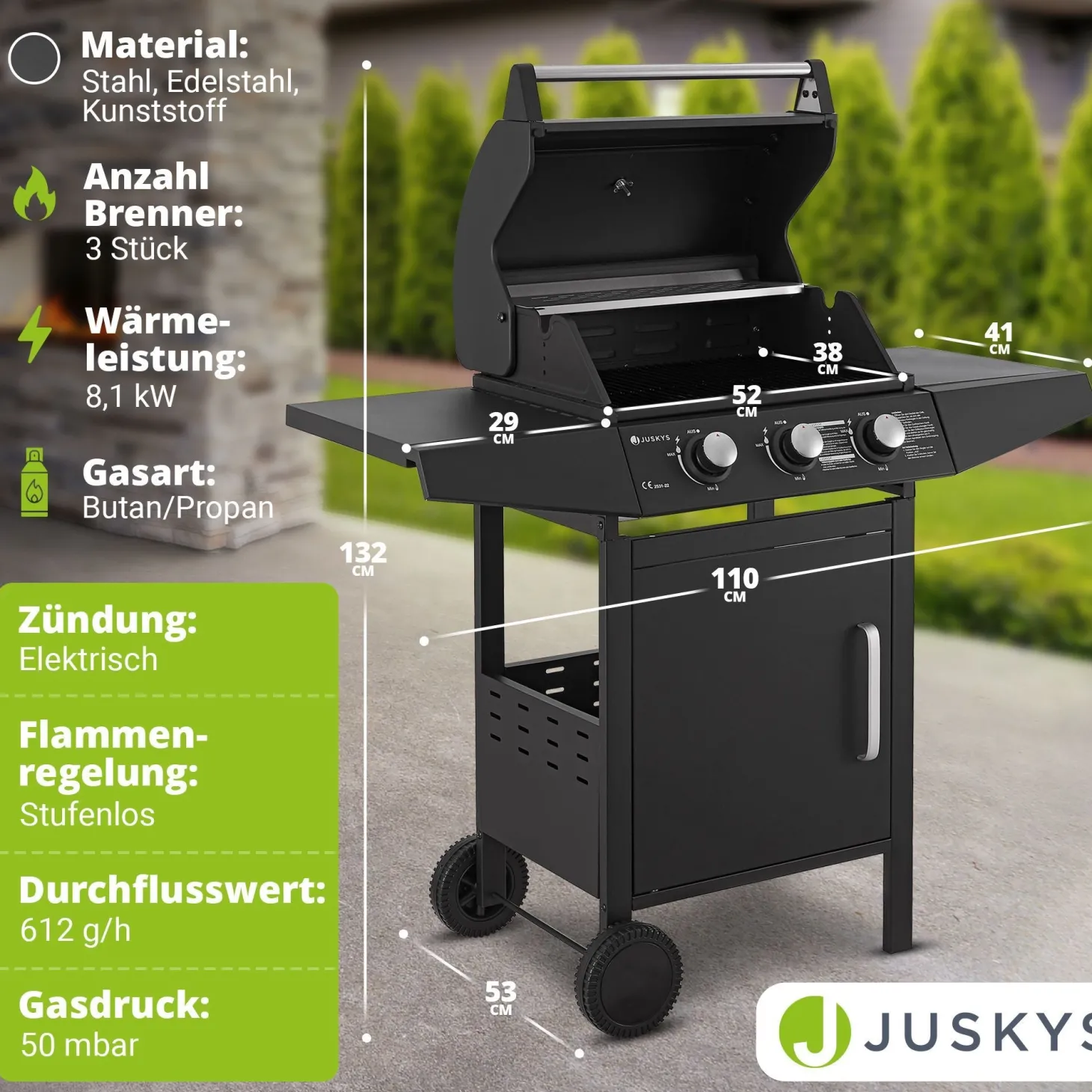 BBQ Gasgrill Louisiana