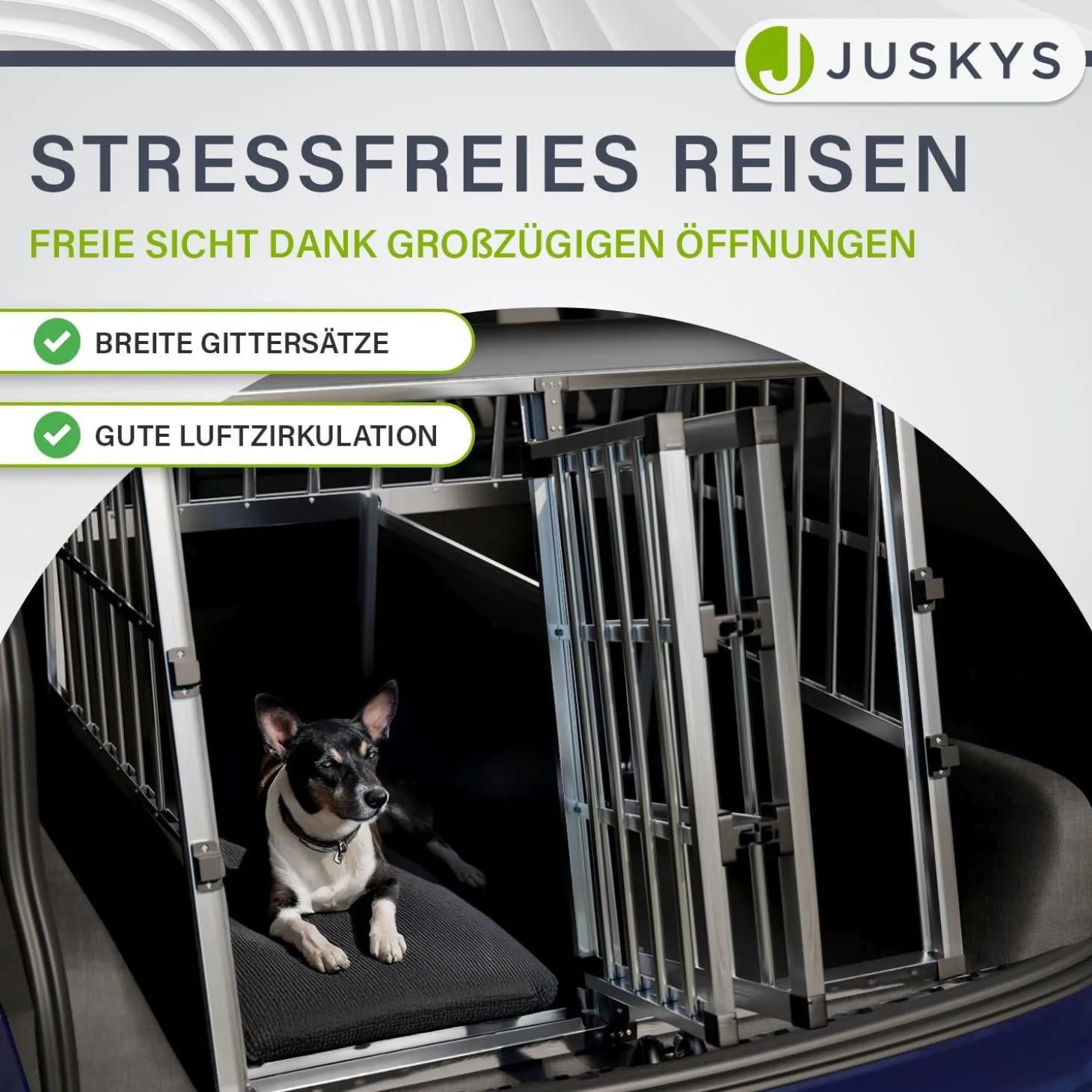 Hundebox Auto