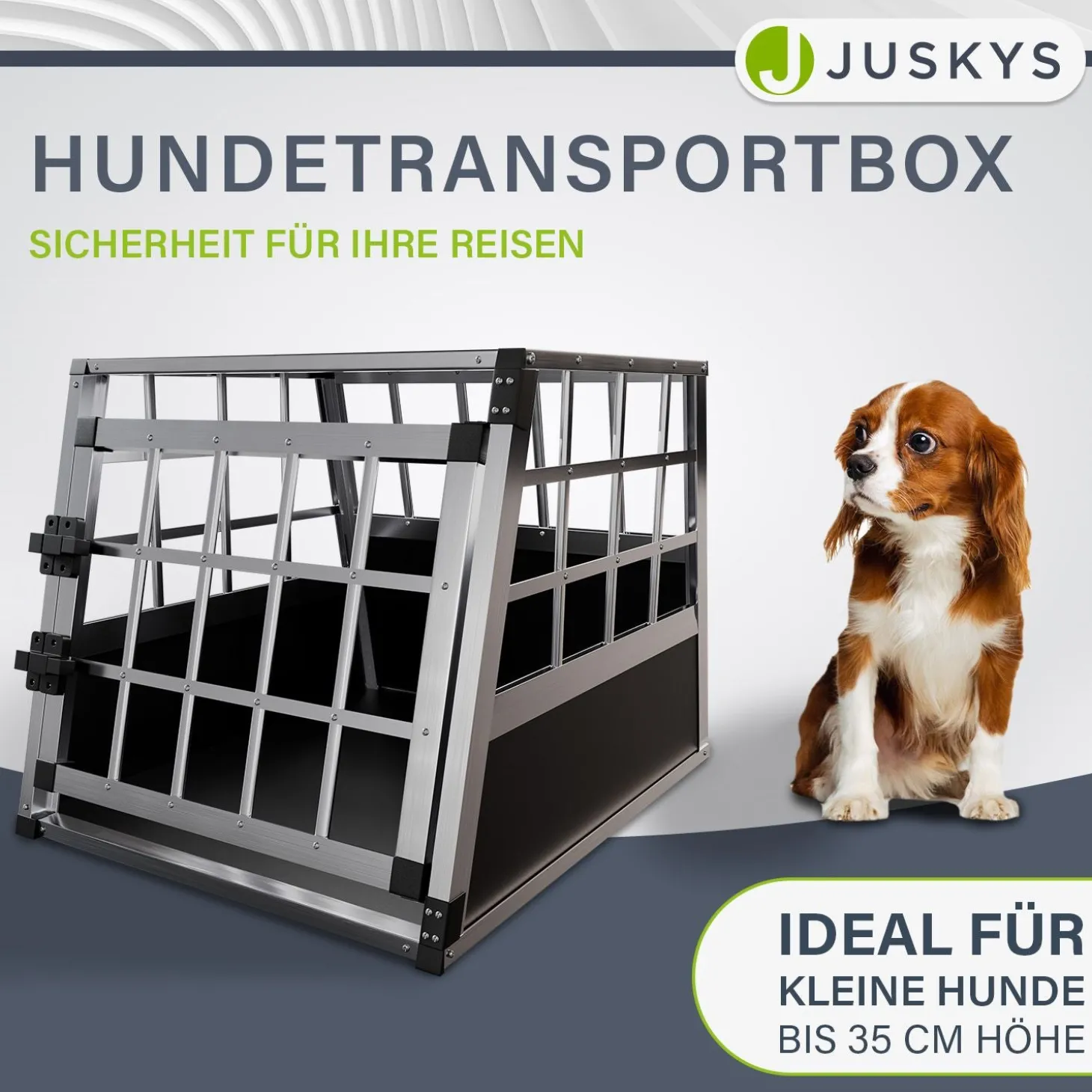 Hundebox Auto