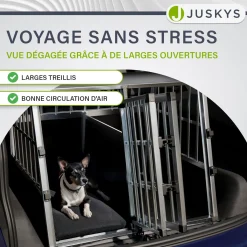 Hundebox Auto