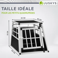 Hundebox Auto
