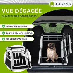 Hundebox Auto