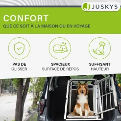 Hundebox Auto