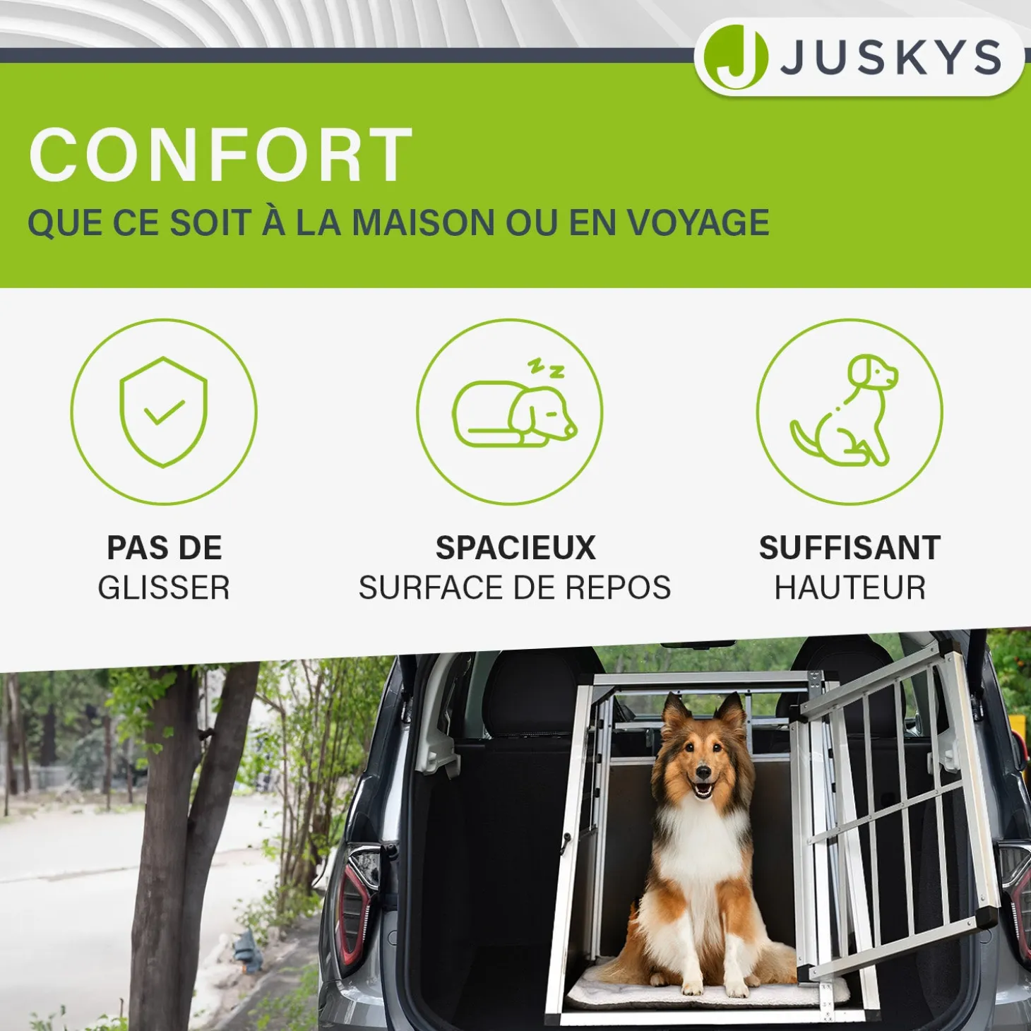 Hundebox Auto