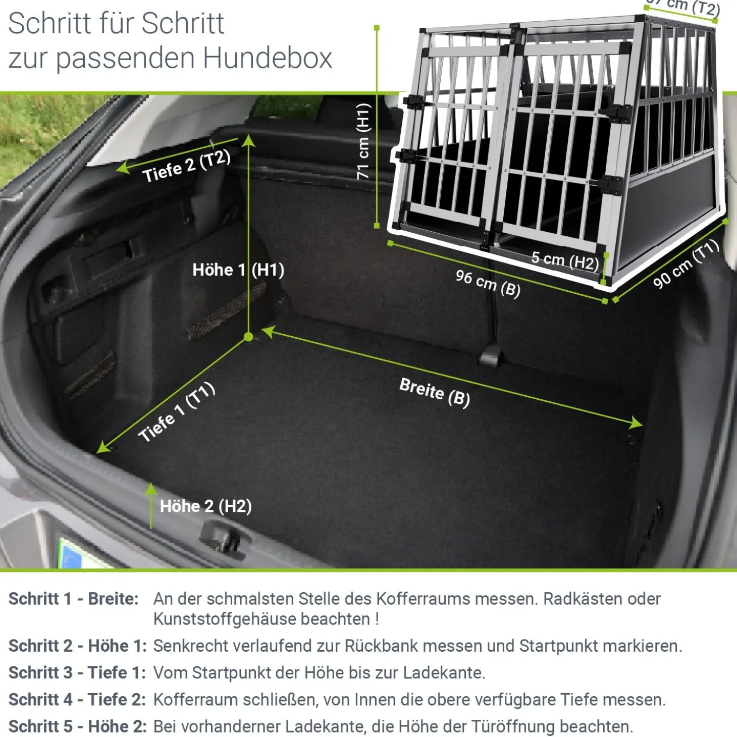 Hundebox Auto