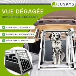 Hundebox Auto