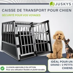 Hundebox Auto