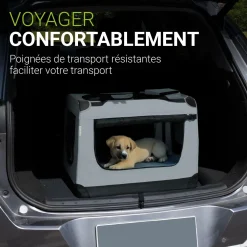 Hundebox Auto faltbar Lassie