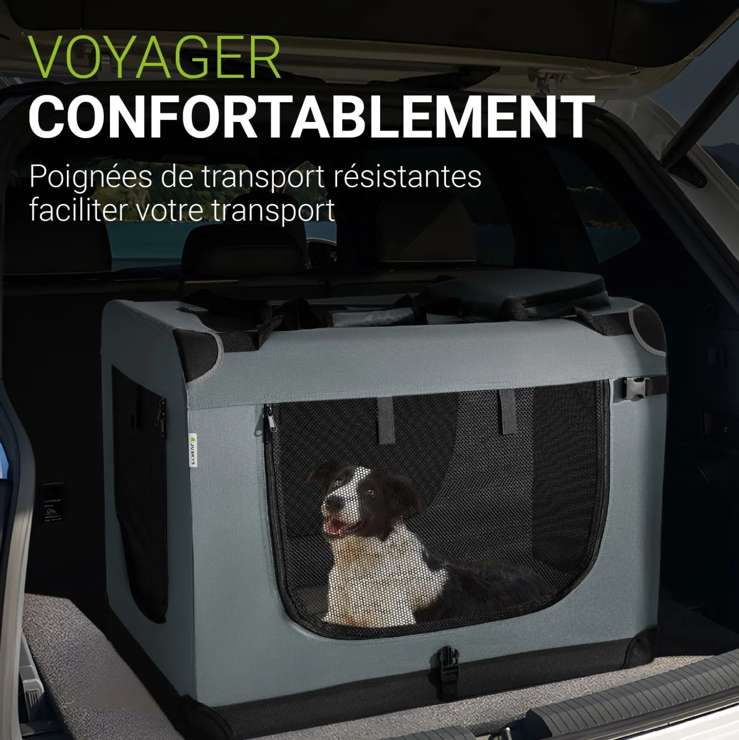 Hundebox Auto faltbar Lassie